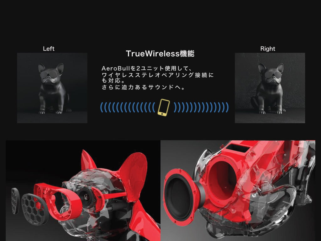 AeroBull HD1
