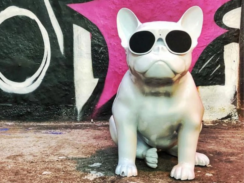 AeroBull HD1