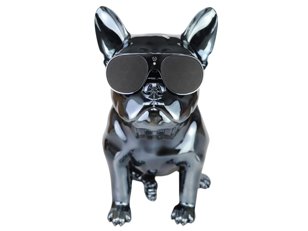 AeroBull HD1