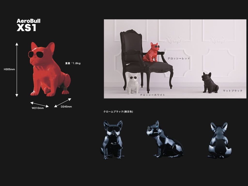 AeroBull XS1