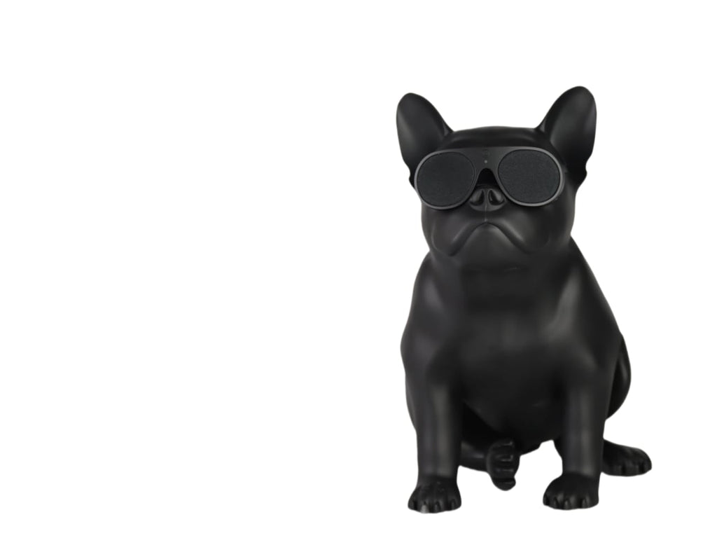 AeroBull XS1