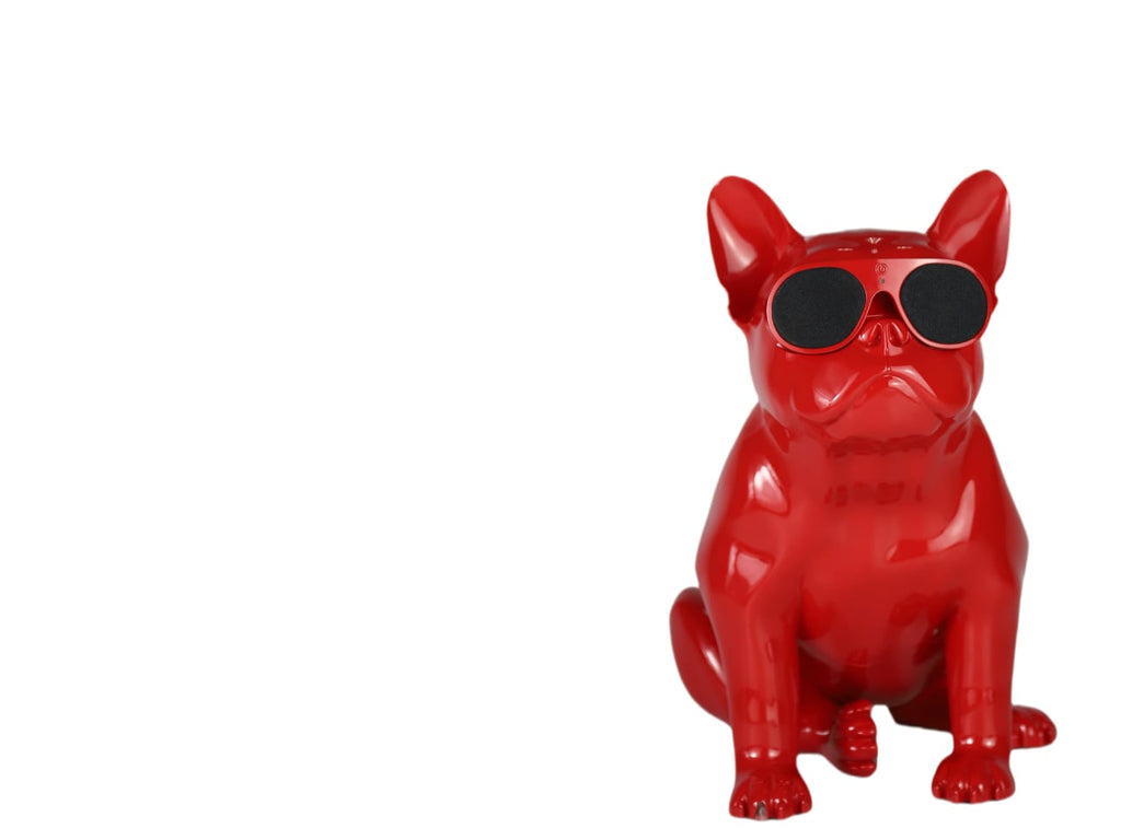 AeroBull XS1
