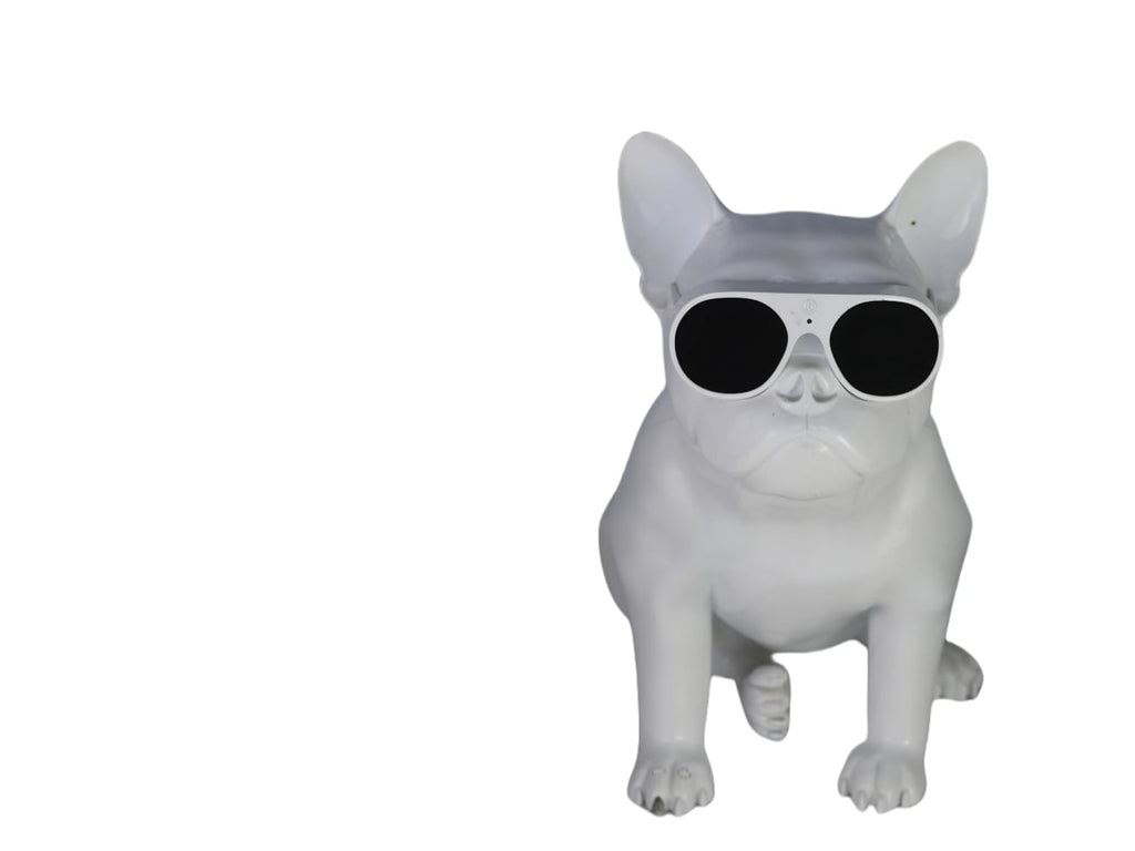 AeroBull XS1