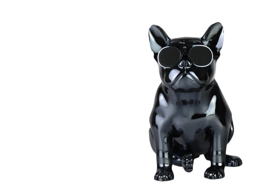 AeroBull XS1