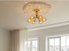 Apiales 6 Ceiling