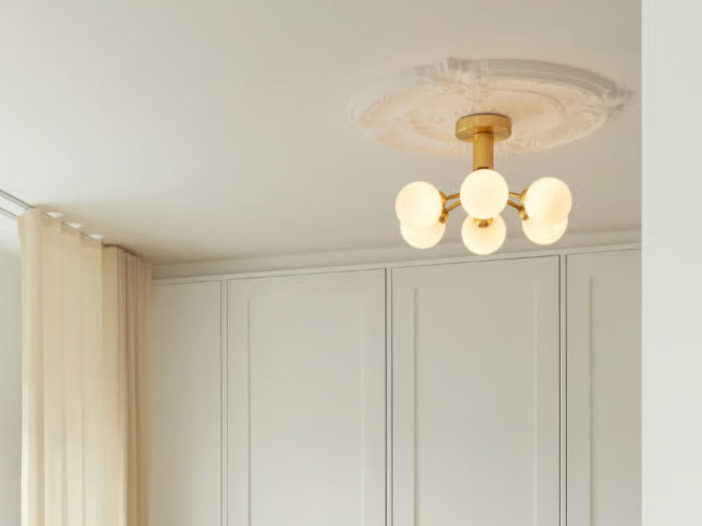 Apiales 6 Ceiling