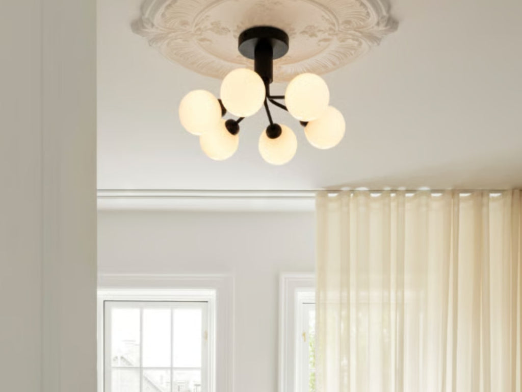 Apiales 6 Ceiling