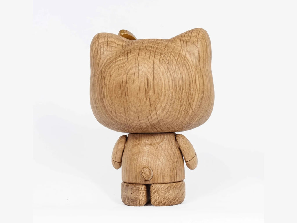 Boyhood Hello Kitty 50th Anniversary