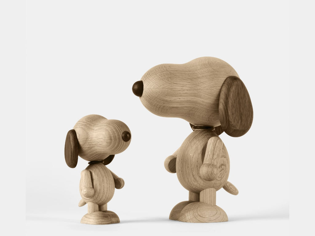 Boyhood Snoopy