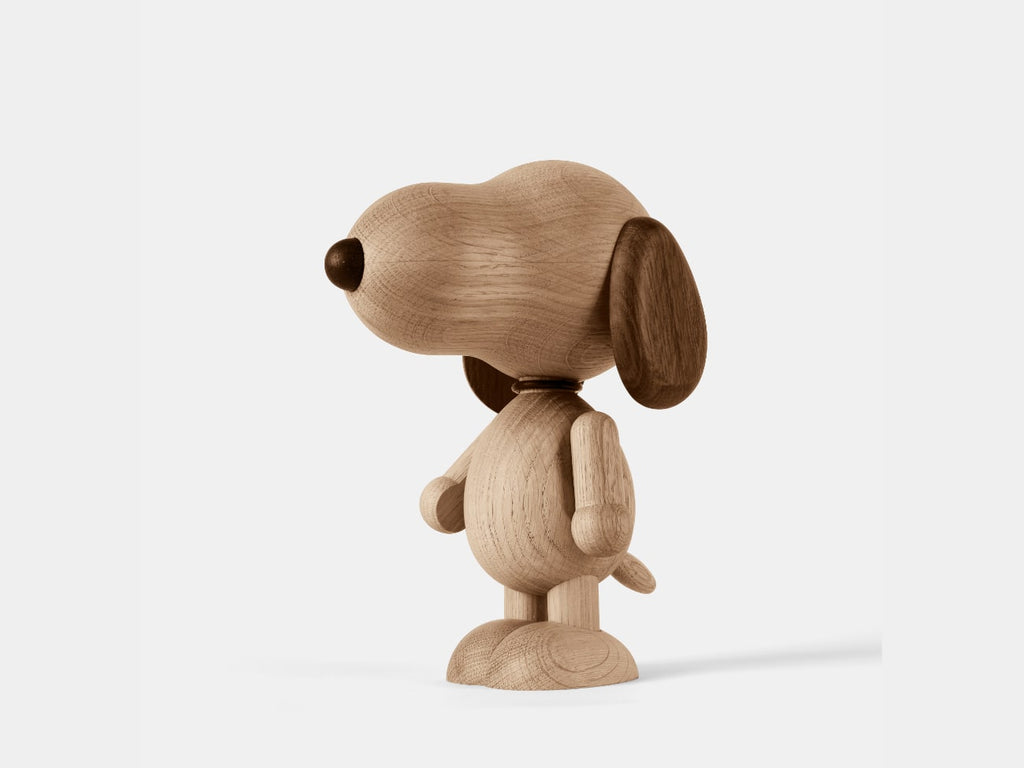 Boyhood Snoopy
