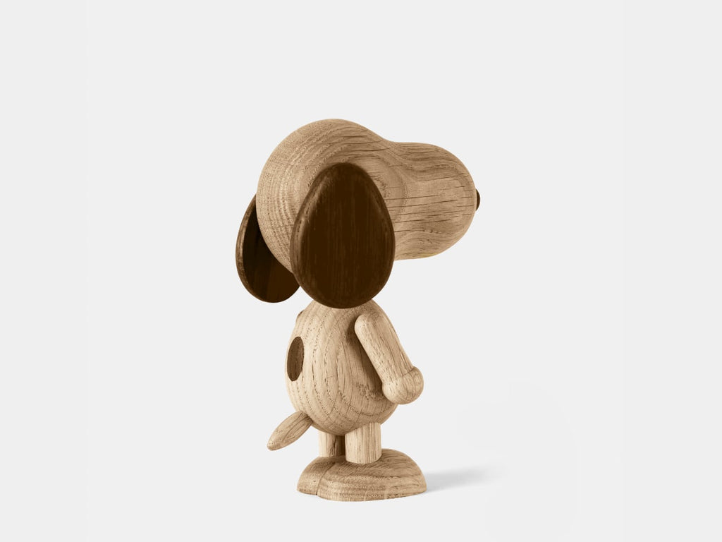 Boyhood Snoopy
