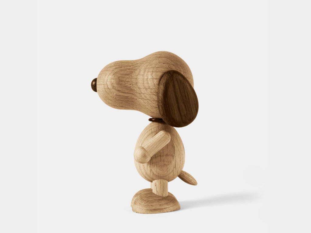 Boyhood Snoopy