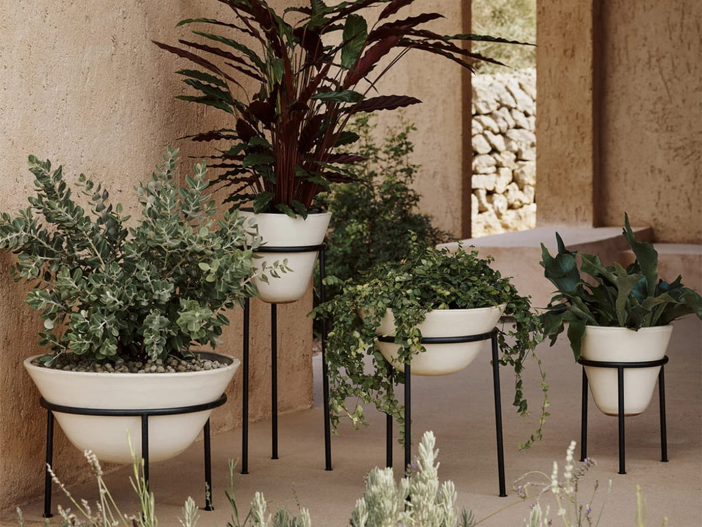 Daiza Planter