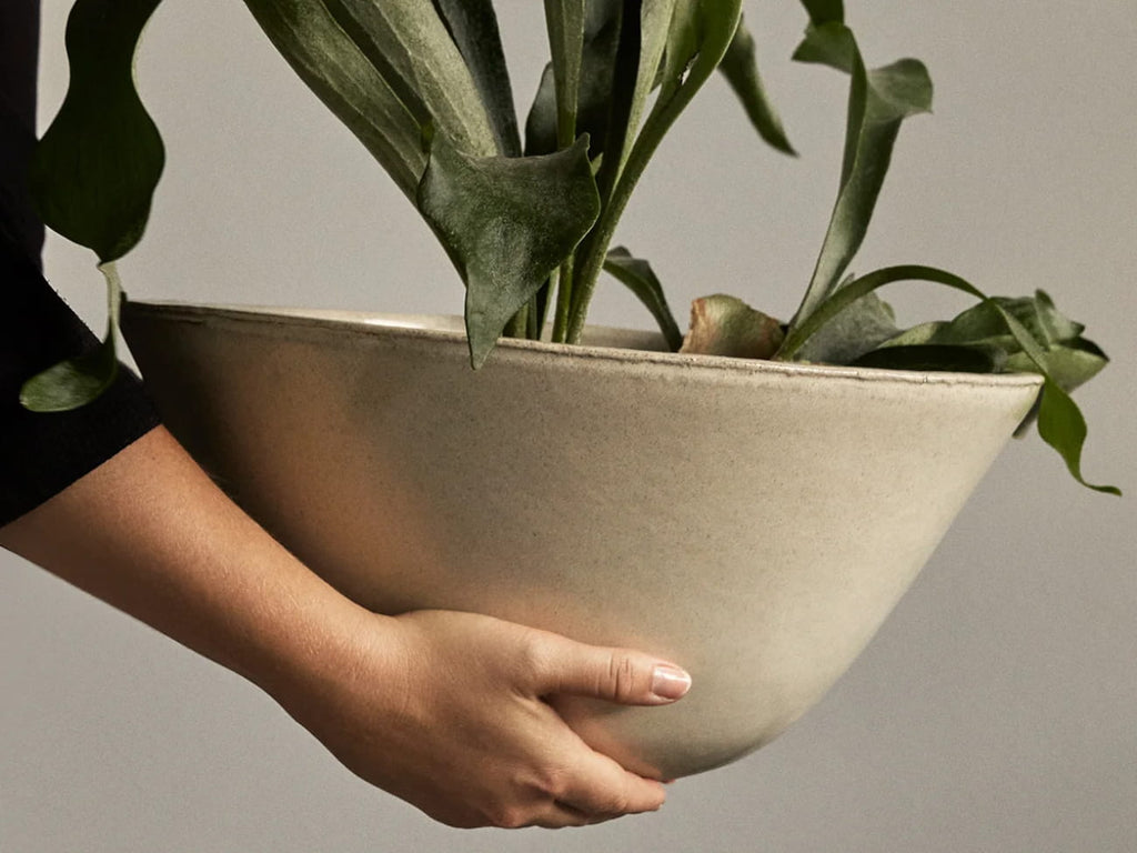Daiza Planter