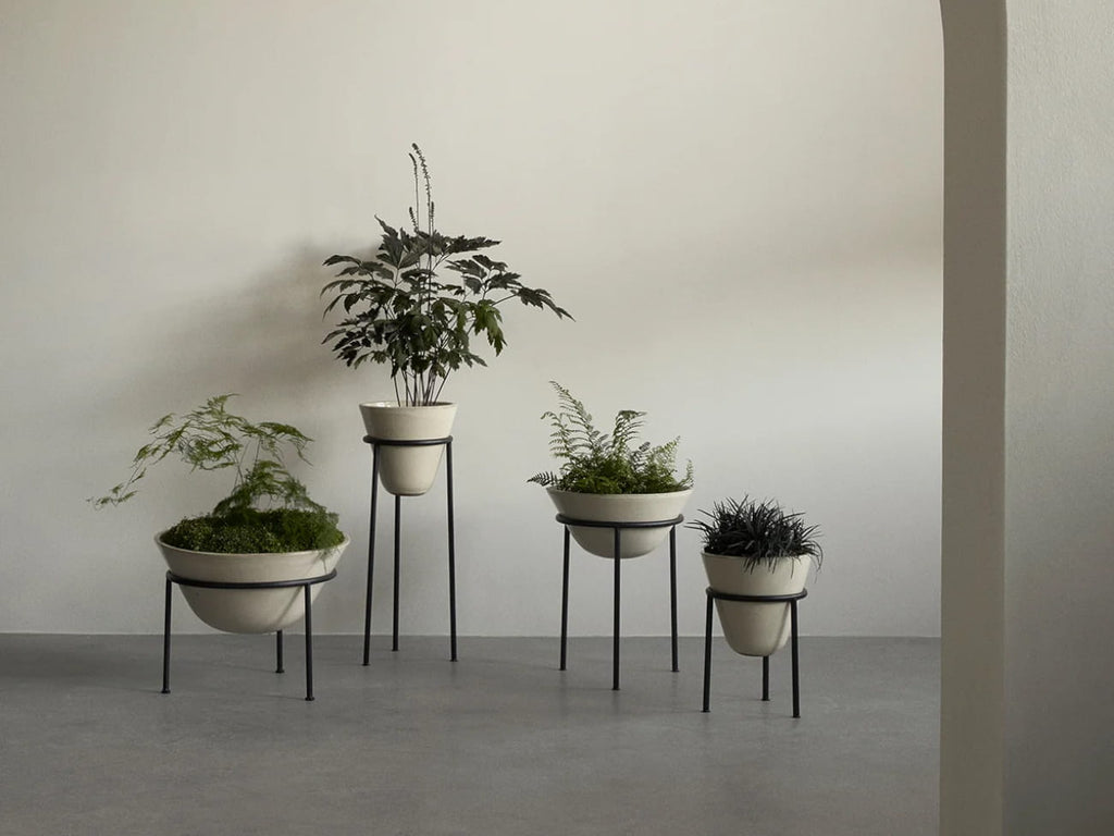 Daiza Planter