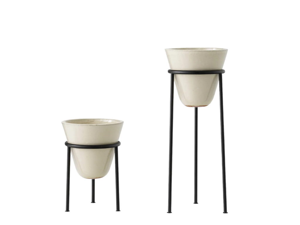 Daiza Planter