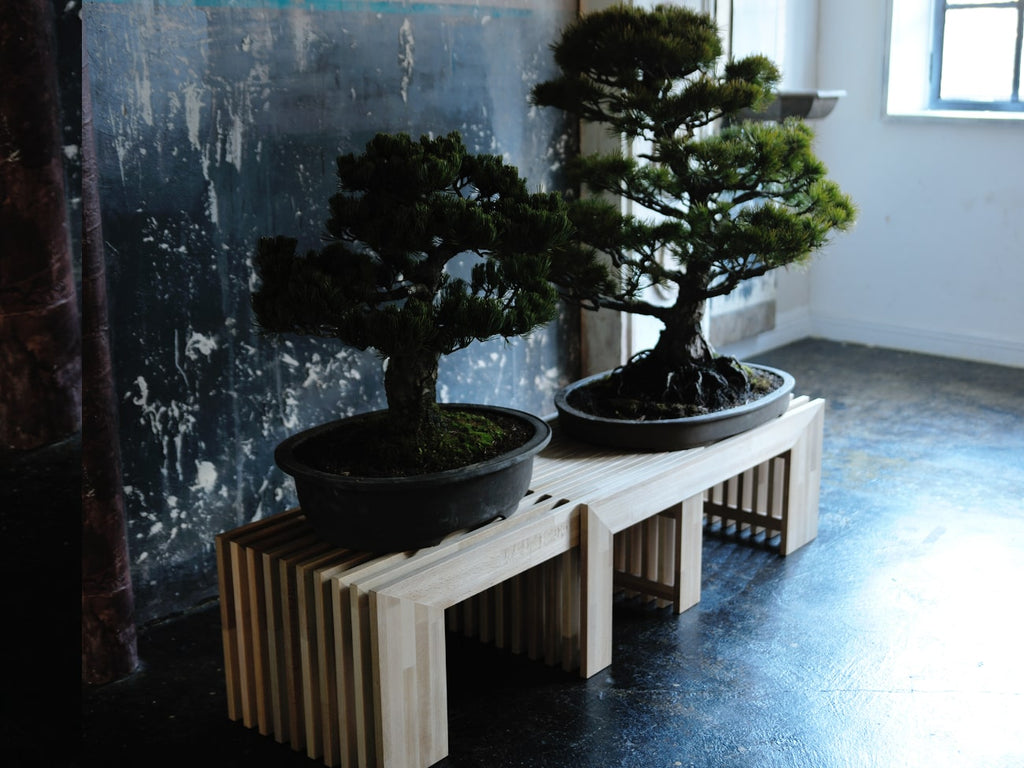 IKSKI Extendable Bench