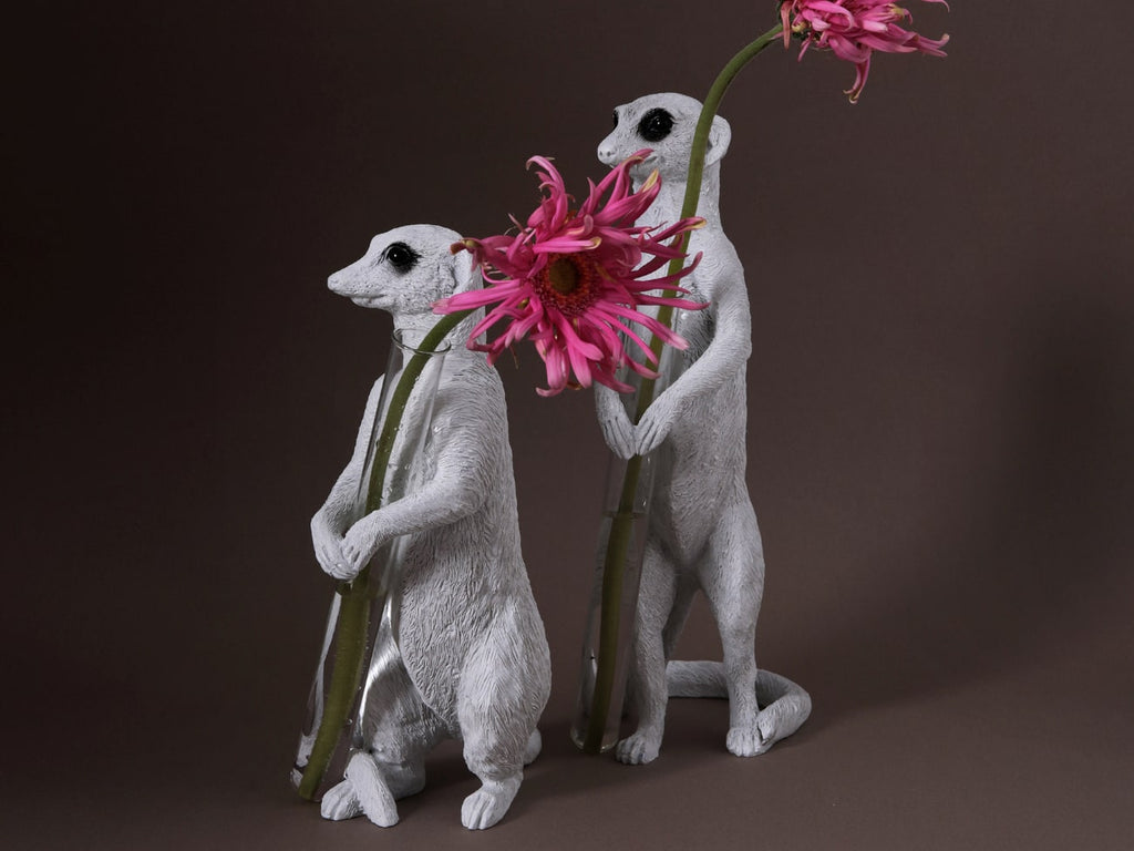 Meerkat X Vase
