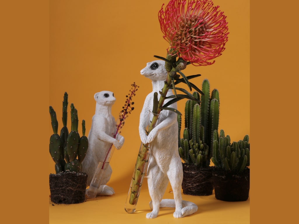 Meerkat X Vase