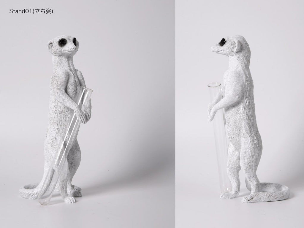 Meerkat X Vase