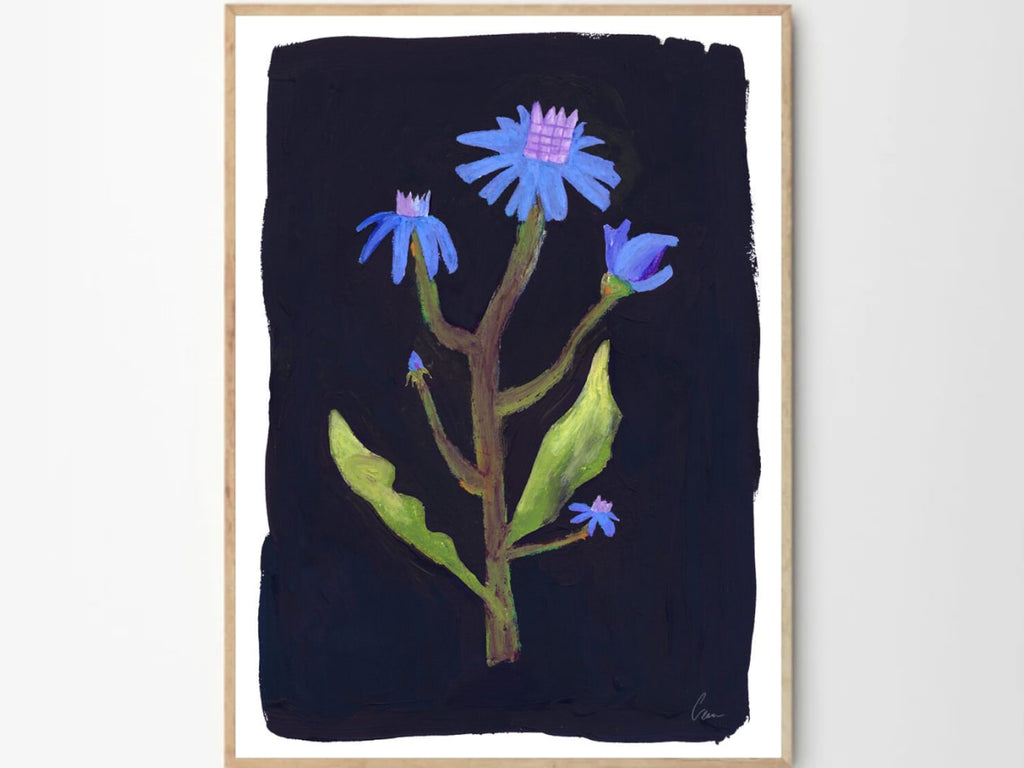 Night Flower