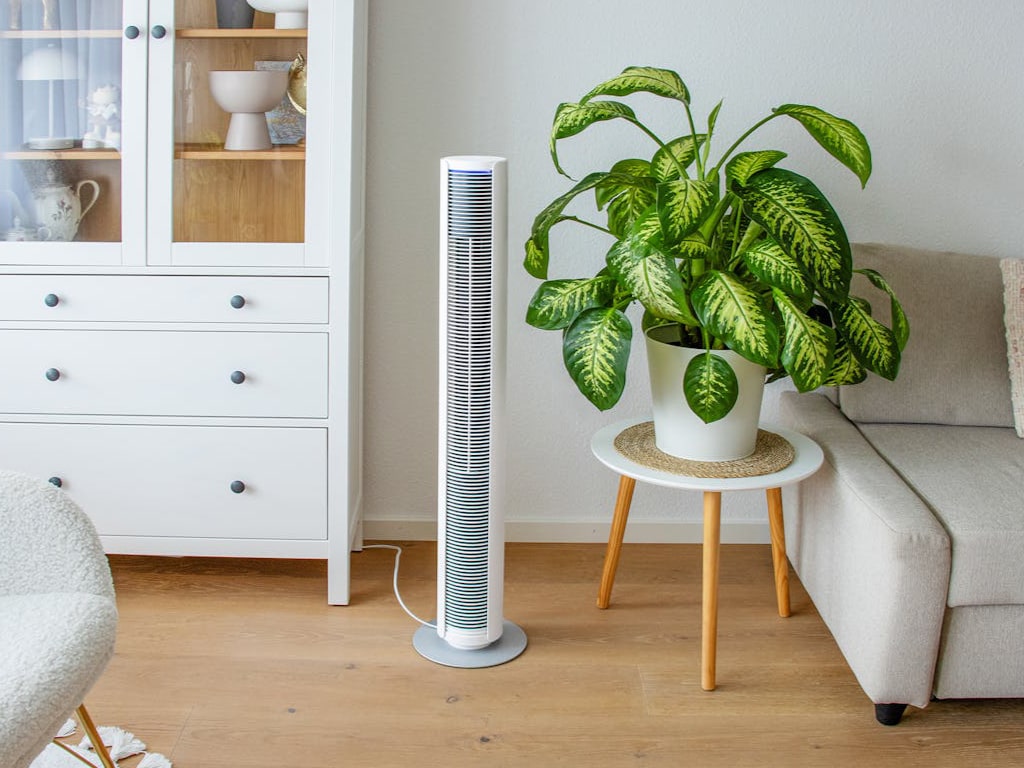 Peter Tower Fan