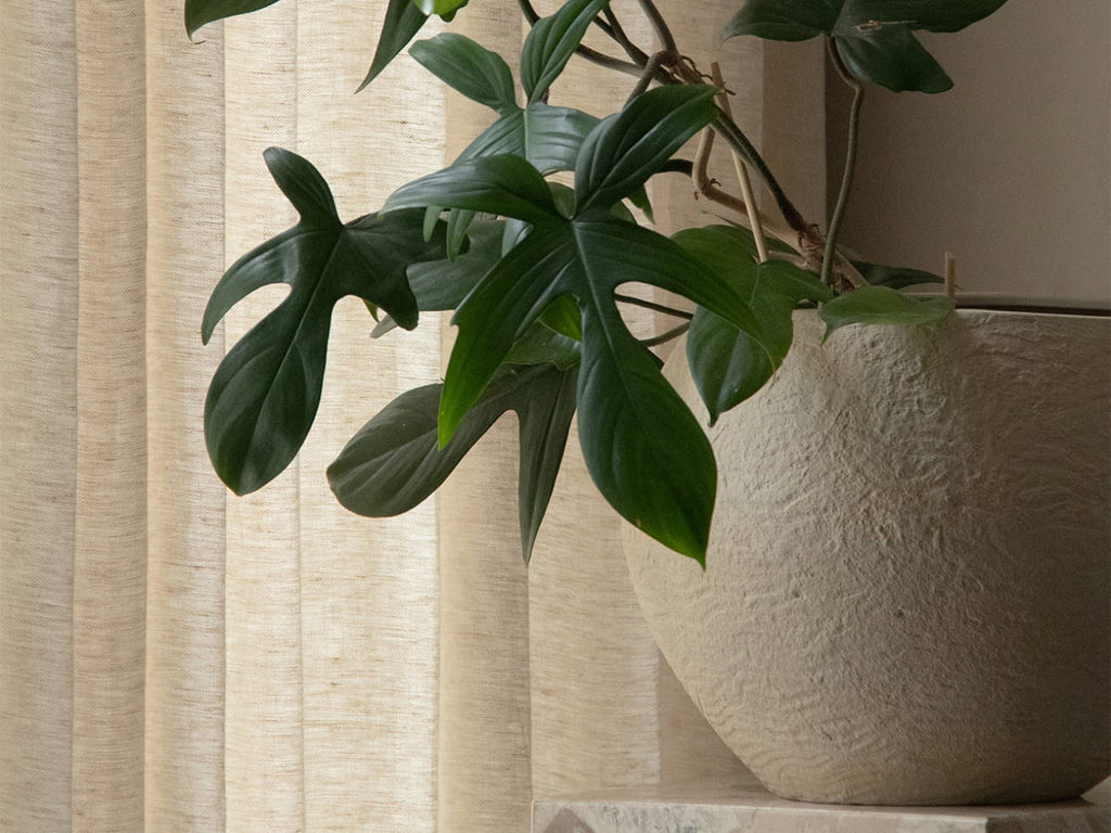 Plantas Planter