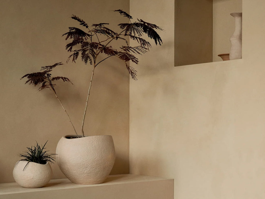 Plantas Planter