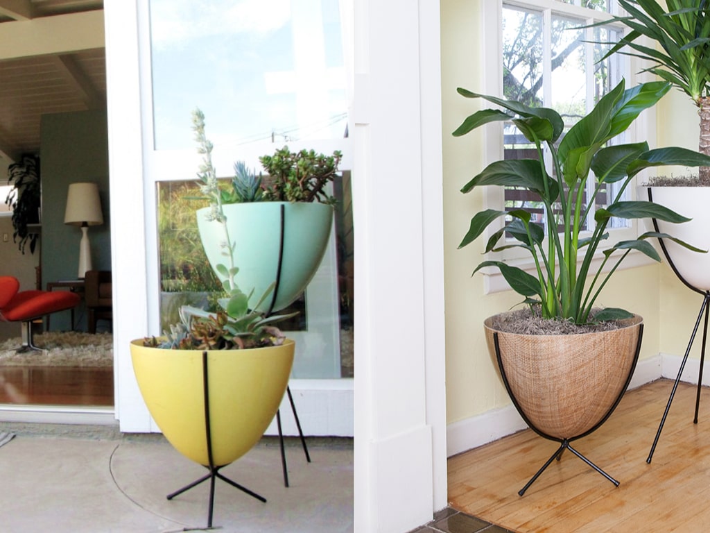 Retro Bullet Planter Short