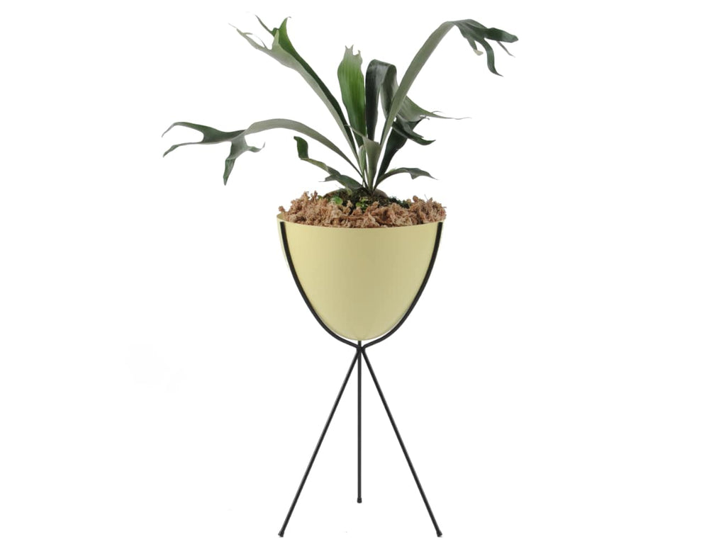 Retro Bullet Planter Tall