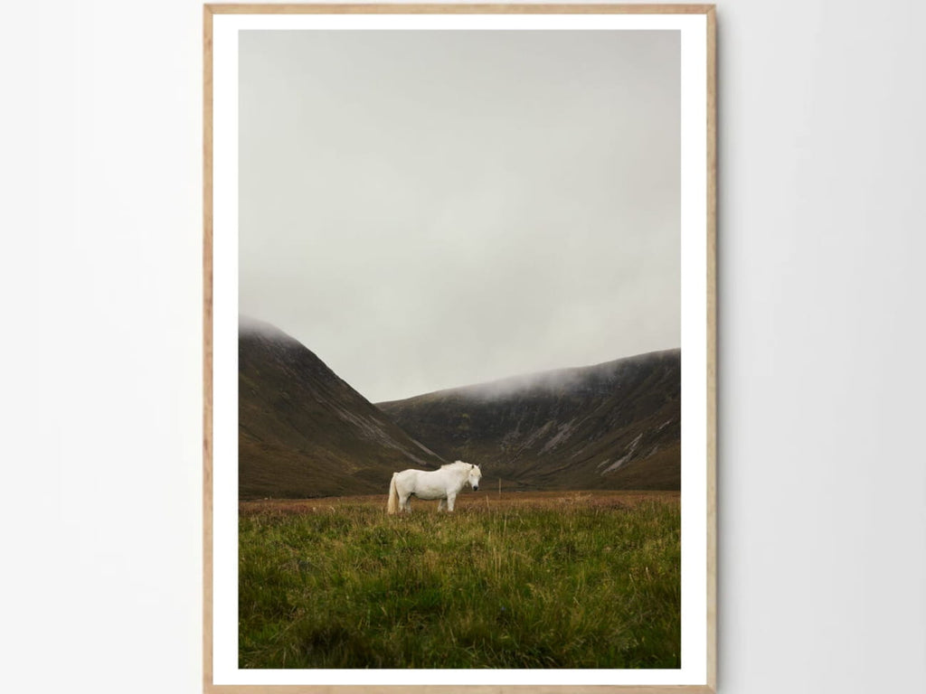 Solitude