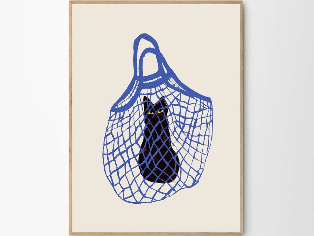 The Cat's In The Bag