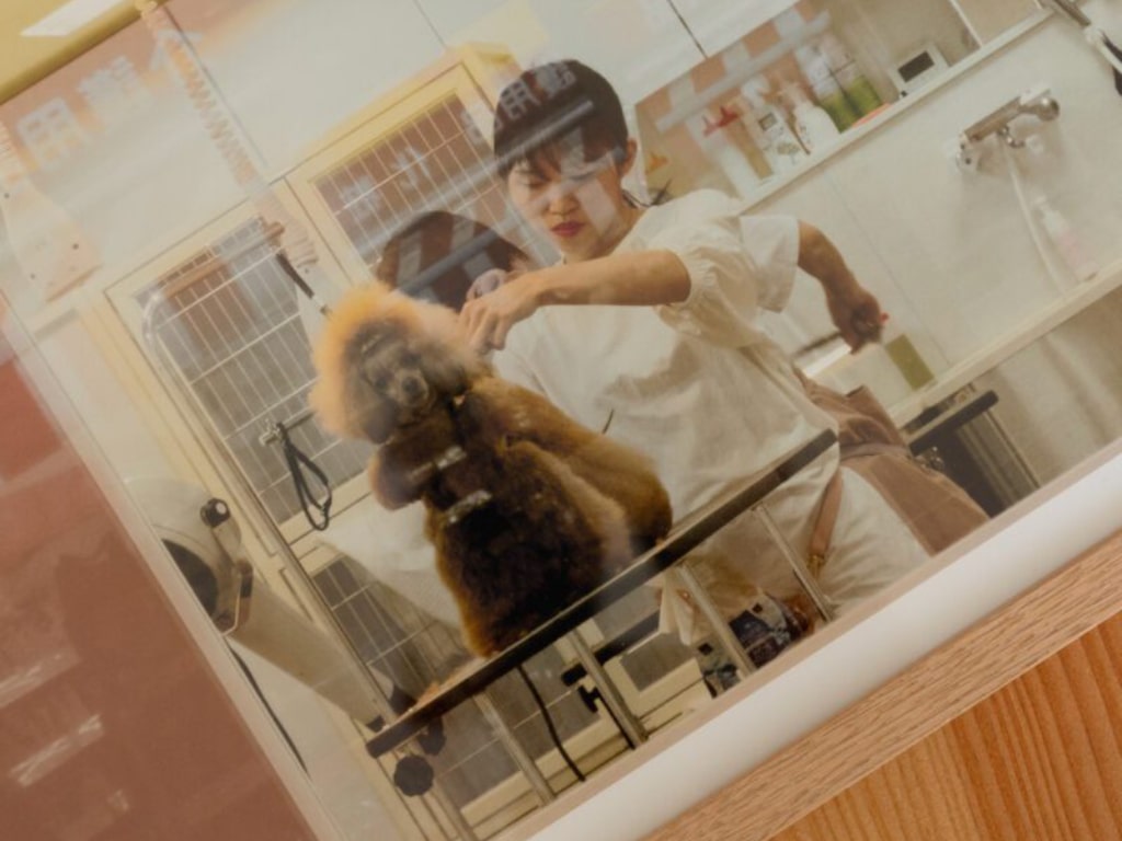 Salon