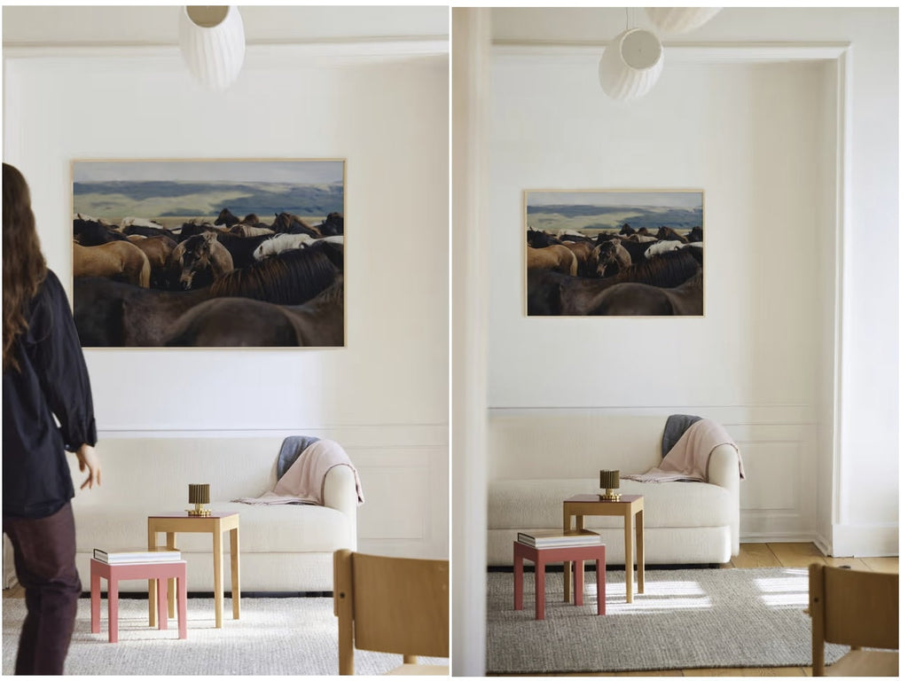 The Herd 02