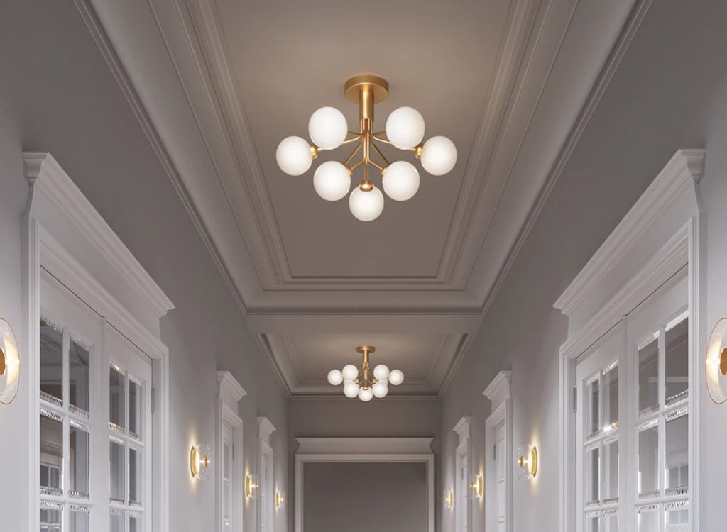Apiales 9 Ceiling