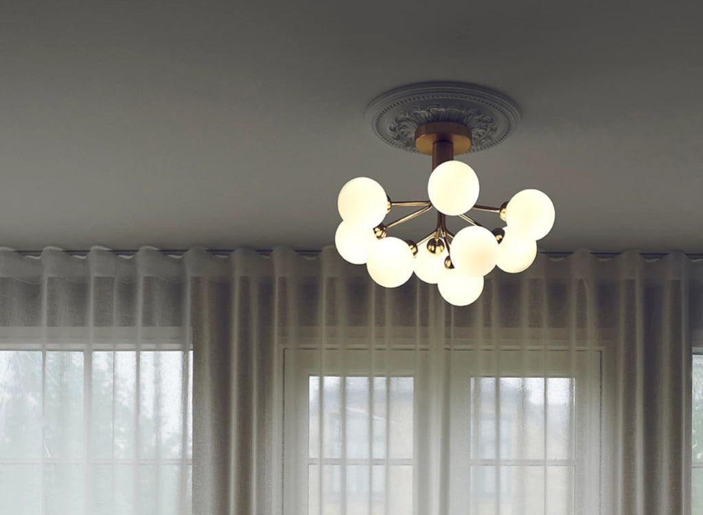Apiales 9 Ceiling