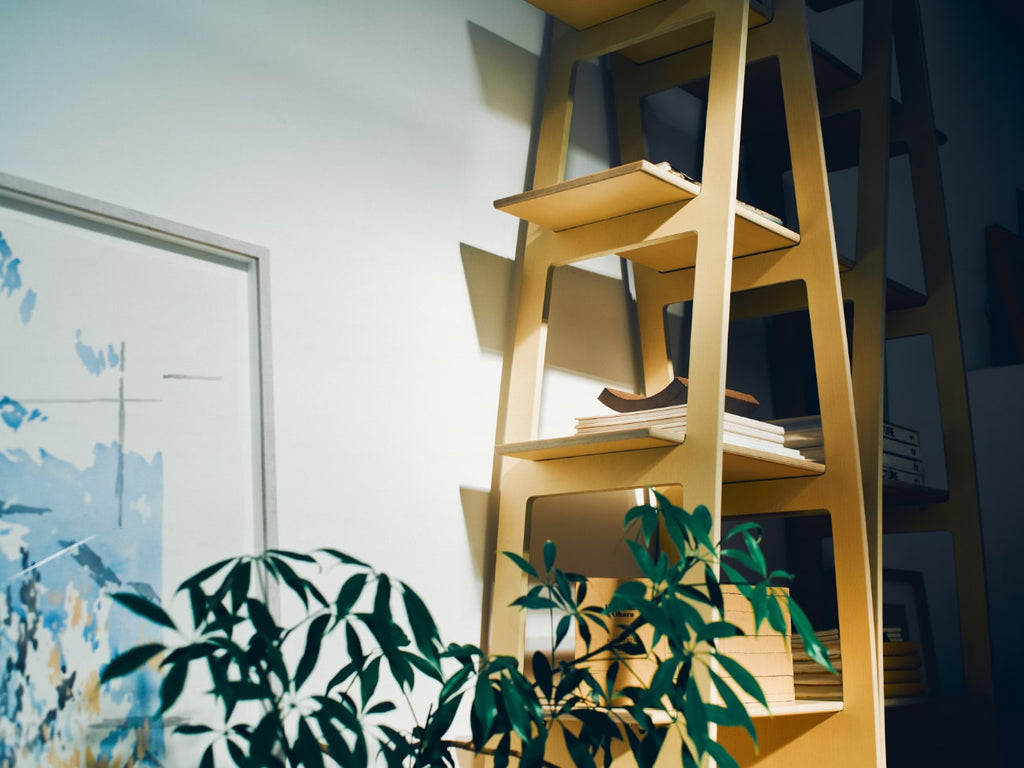 Display Shelves