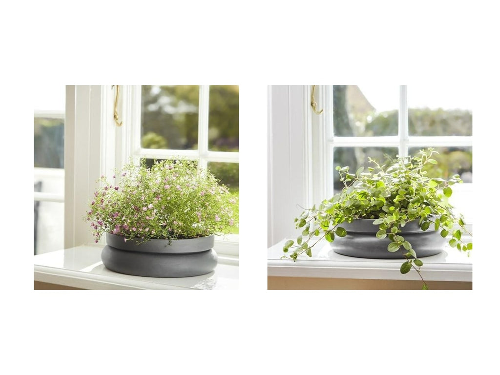 Hinken Flowerpot