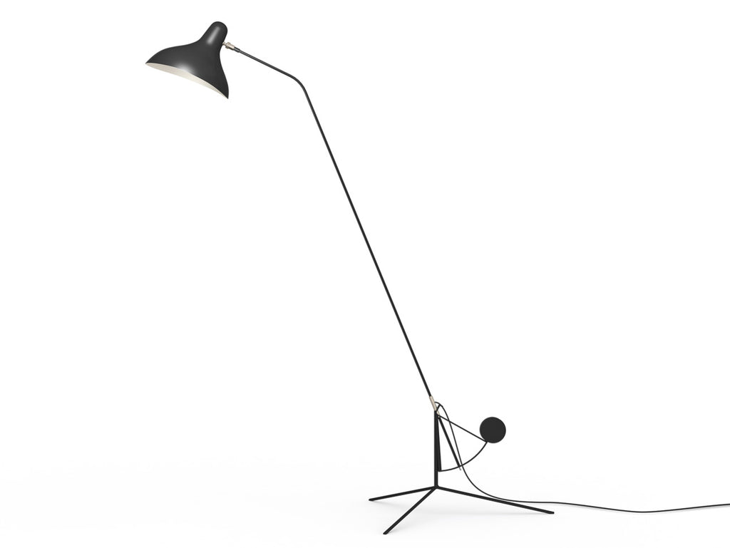 Mantis BS1