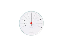 Weather Station Thermometer