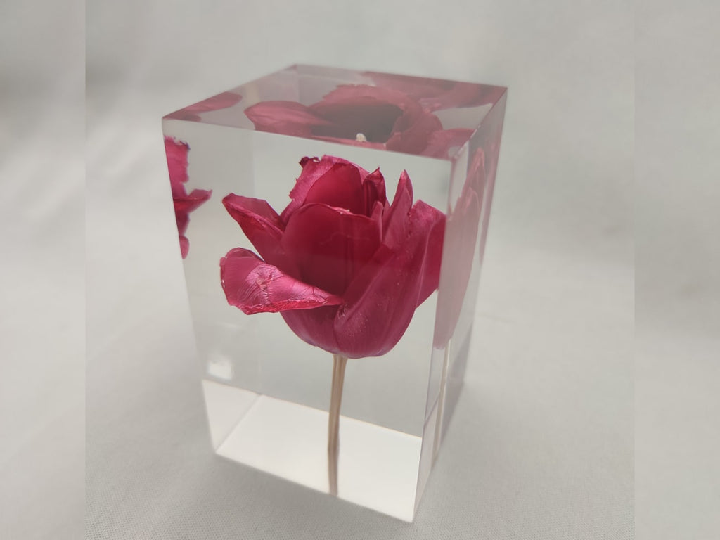 Tulip Red Object