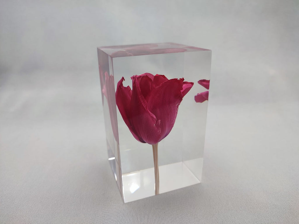 Tulip Red Object