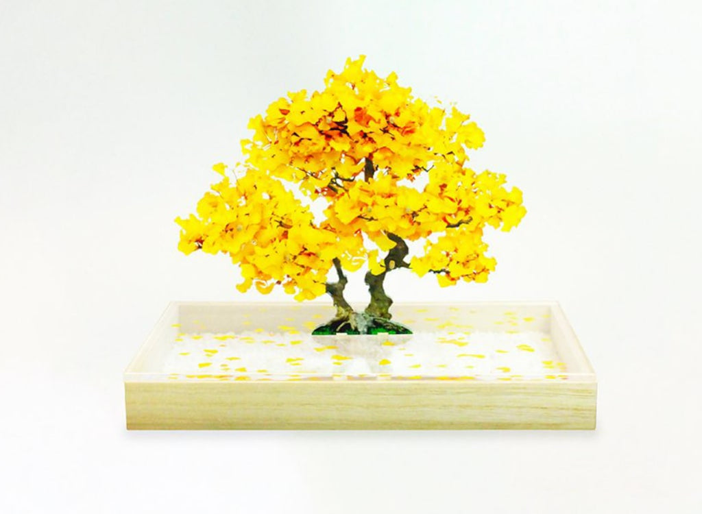 Bonsai 2021