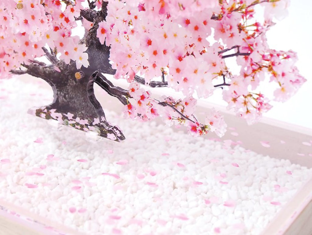 Bonsai Sakura
