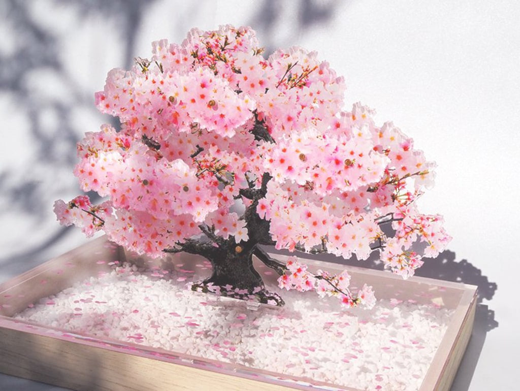 Bonsai Sakura