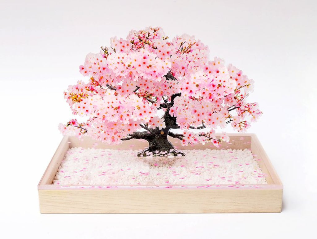 Bonsai Sakura