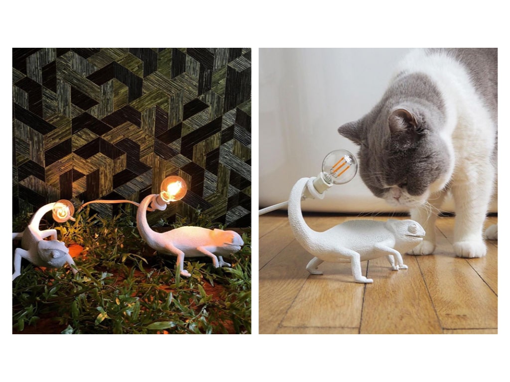 Chameleon Lamp