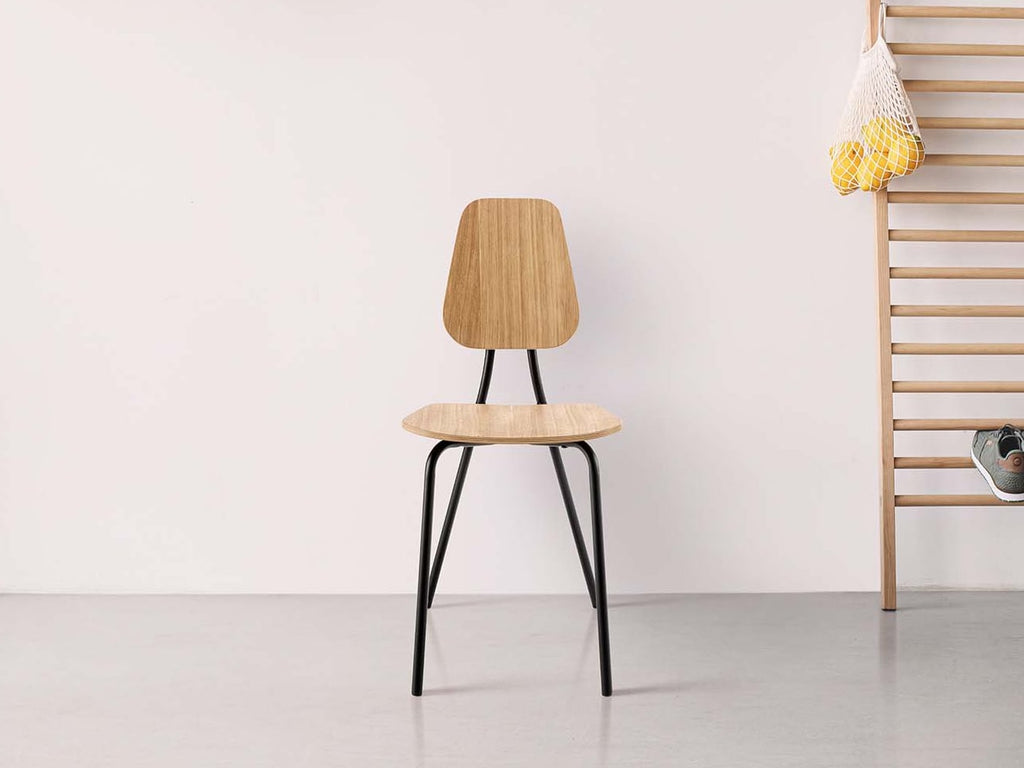 Hoya Chair