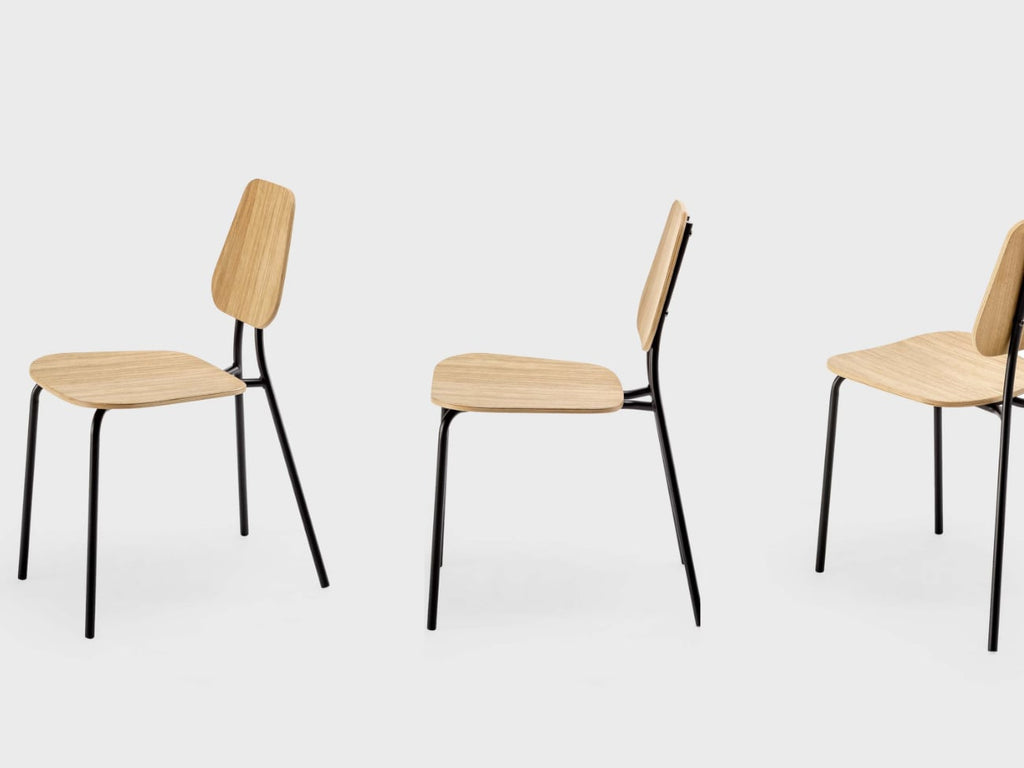 Hoya Chair