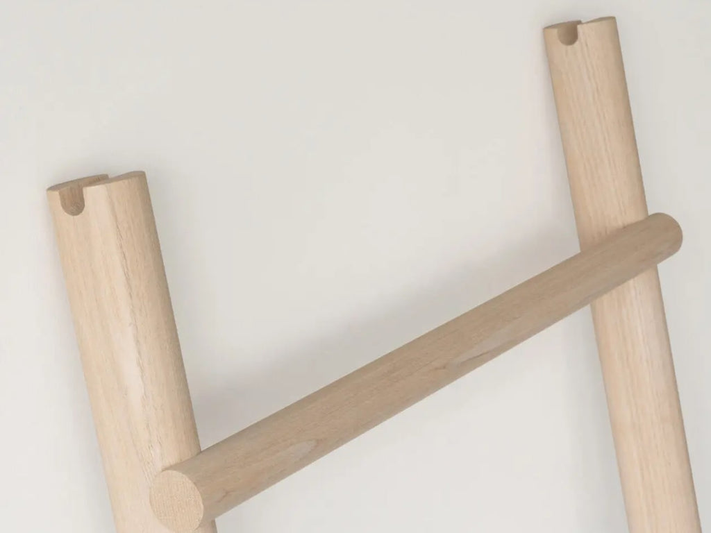 Ladder Rack